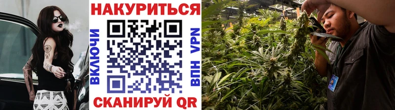 Бошки Шишки ГИДРОПОН Азнакаево